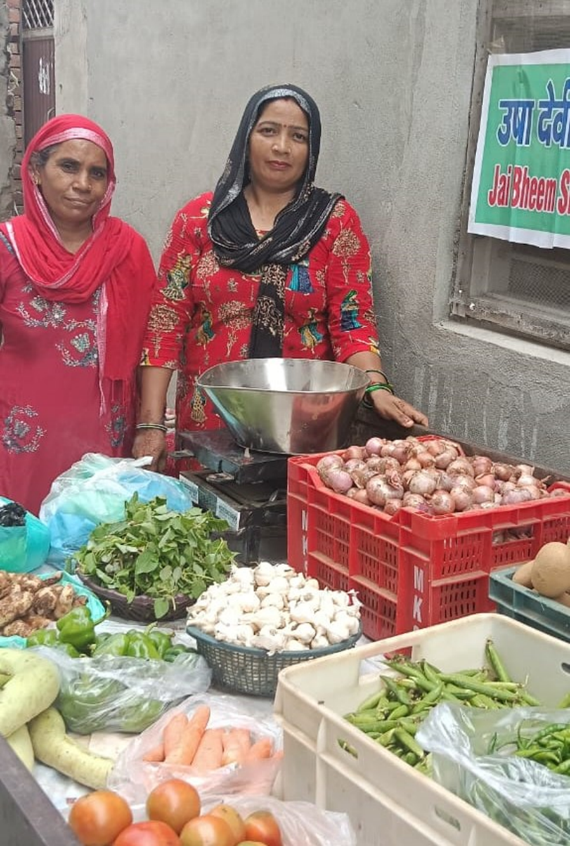 Vegetable Vending Success